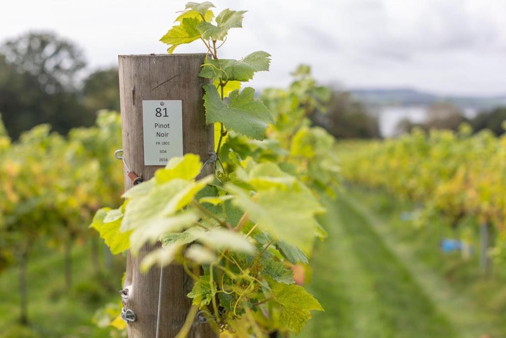 Lympstone Manor Hotel Restaurant & Vineyard - Relais & Chateaux Ексмут Екстериор снимка