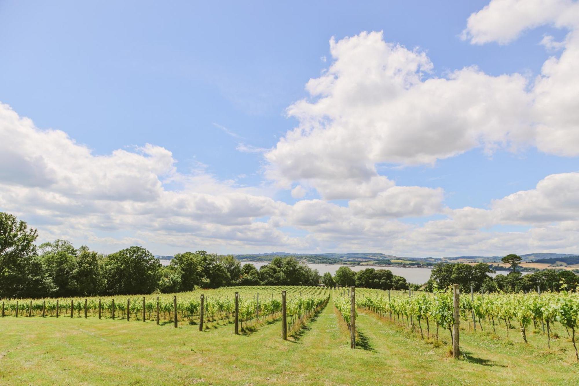 Lympstone Manor Hotel Restaurant & Vineyard - Relais & Chateaux Ексмут Екстериор снимка