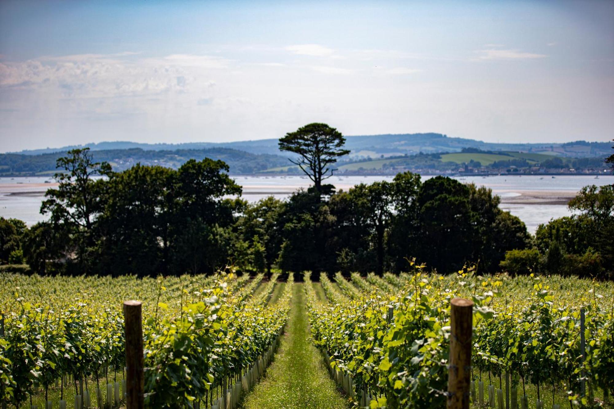 Lympstone Manor Hotel Restaurant & Vineyard - Relais & Chateaux Ексмут Екстериор снимка