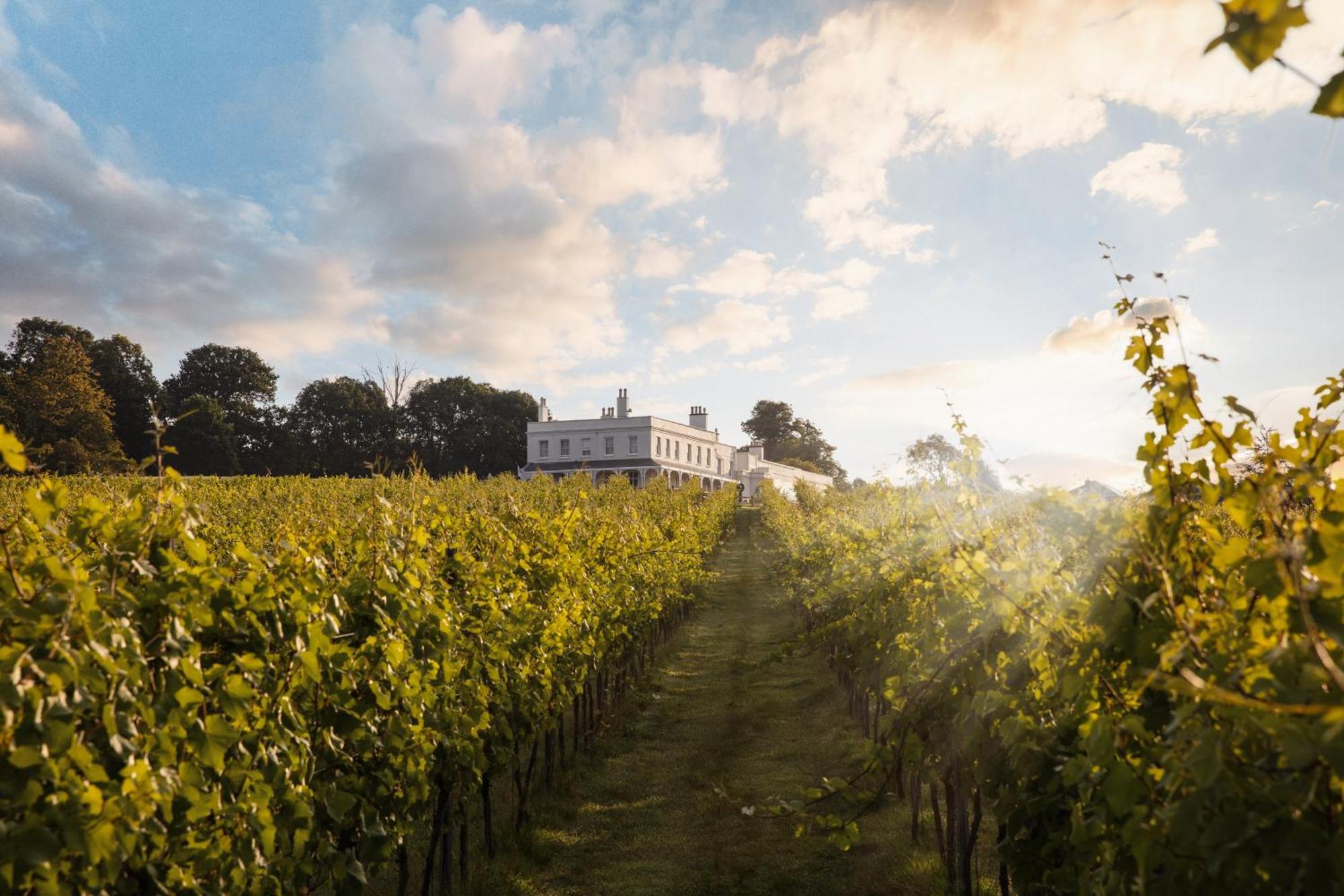 Lympstone Manor Hotel Restaurant & Vineyard - Relais & Chateaux Ексмут Екстериор снимка
